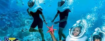 <span>Day 2</span>Coral Island Visit