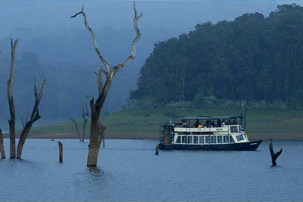 <span>Day 3 </span>Transfer: Munnar – Thekkady (110KM -3 Hour 15 Mins).