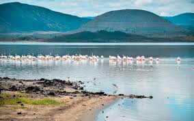<span> Day 5 </span>Lake Elementaita to Nyahururu