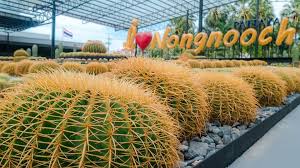 <span>Day 3</span>Nong nooch village tour