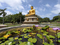 <span> Day 3 </span>Day 3 Colombo INCLUDED : 1 Transfer 1 Activity 1 Meal