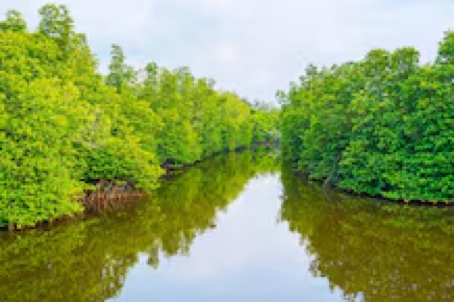 Short Bentota Vacation