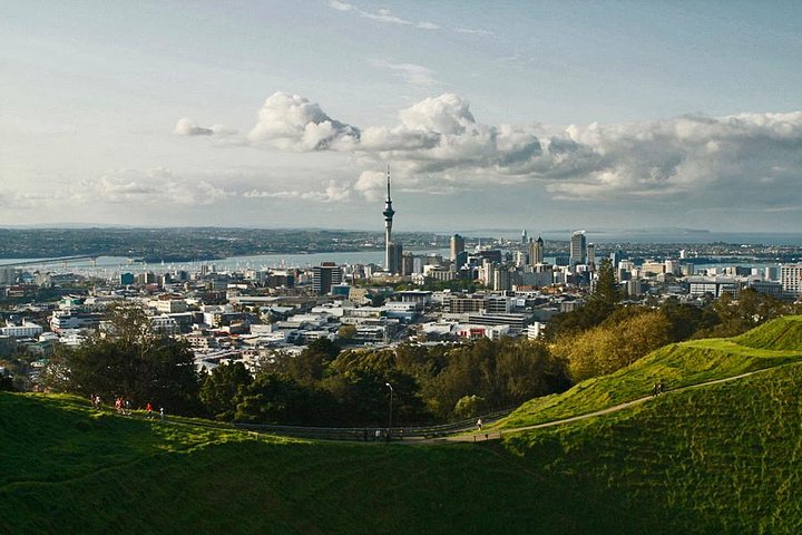 <span> Day 5 </span> Auckland INCLUDED : 1 Activity
