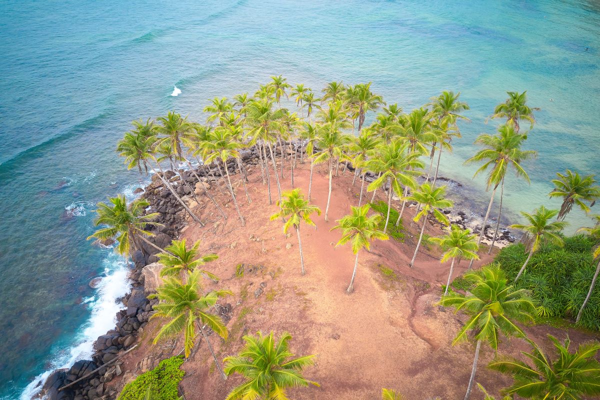 <span> Day 2 </span> Departure from Colombo INCLUDED : 1 Flight 1 Transfer 1 Meal