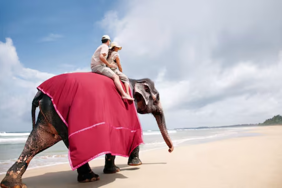 Regal Bentota Vacay- Taj Special