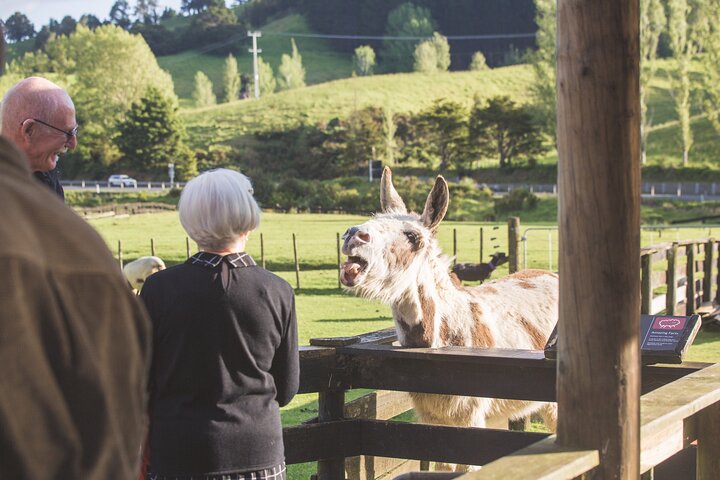 <span> Day 5 </span> Queenstown INCLUDED : 1 Activity 1 Meal
