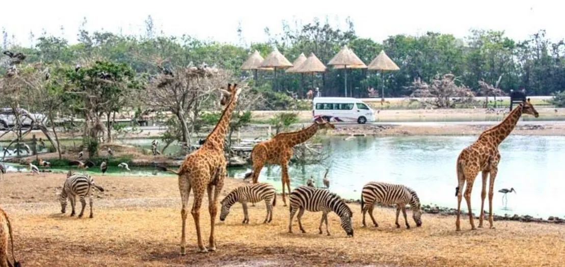 <span>Day 2</span> Bangkok INCLUDED : 1 Meal