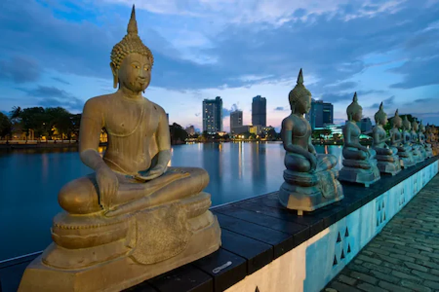 Luxurious Colombo Vacay