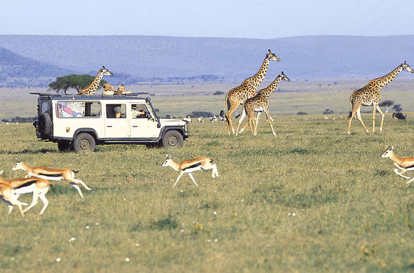 <span> Day 2 </span> Nairobi - Mara Game Reserve INCLUDED : 1 Hotel 1 Activity 3 Meals