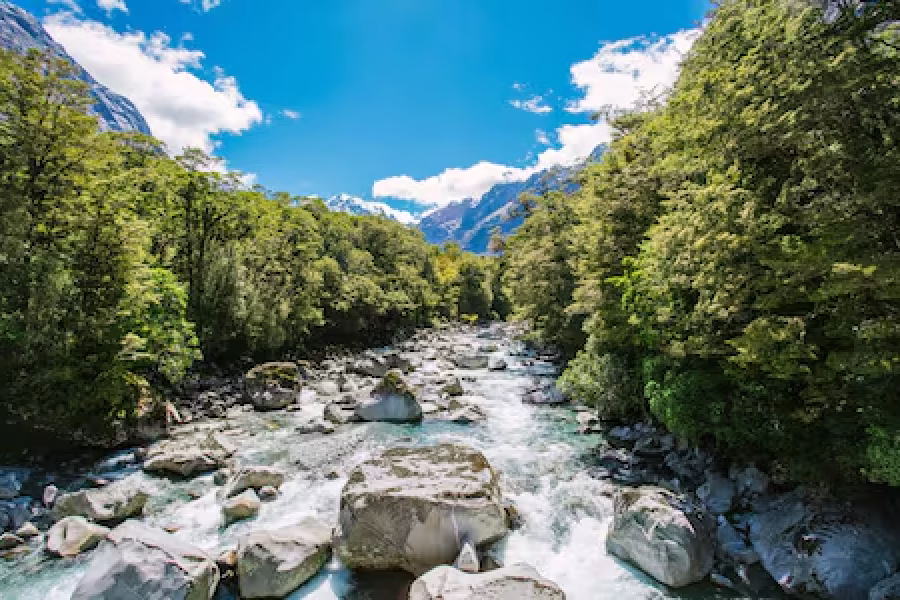 Thrill Seekers Paradise- Queenstown Adventure Package