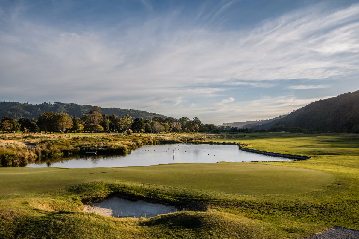 <span> Day 6 </span> Napier - Wellington INCLUDED : 1 Hotel 1 Meal