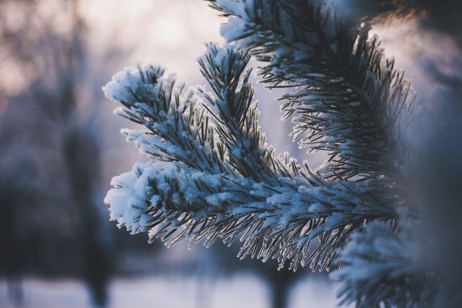 5 Nights / 6 Days – AZERBAIJAN (Shahdag Tour )