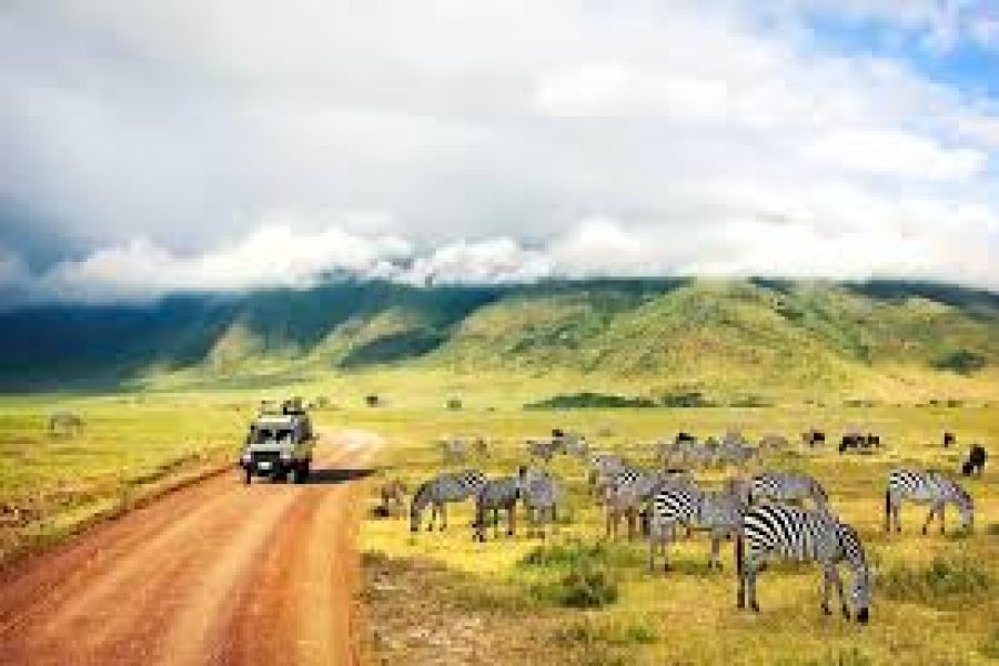 Kenya–Tanzania Safari