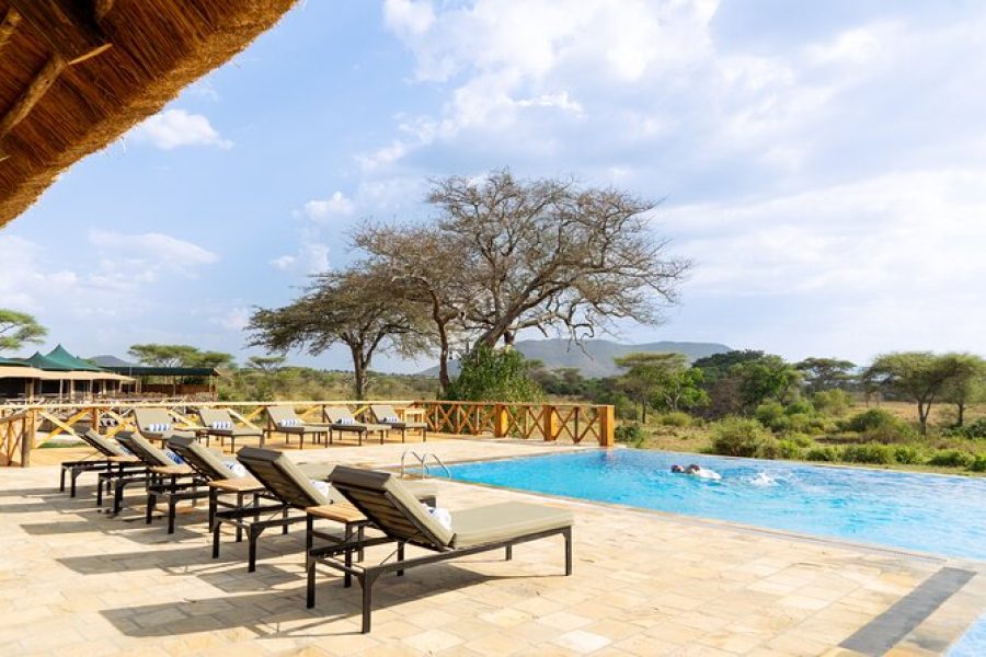 3-Day Tarangire National Park Safari, Tanzania