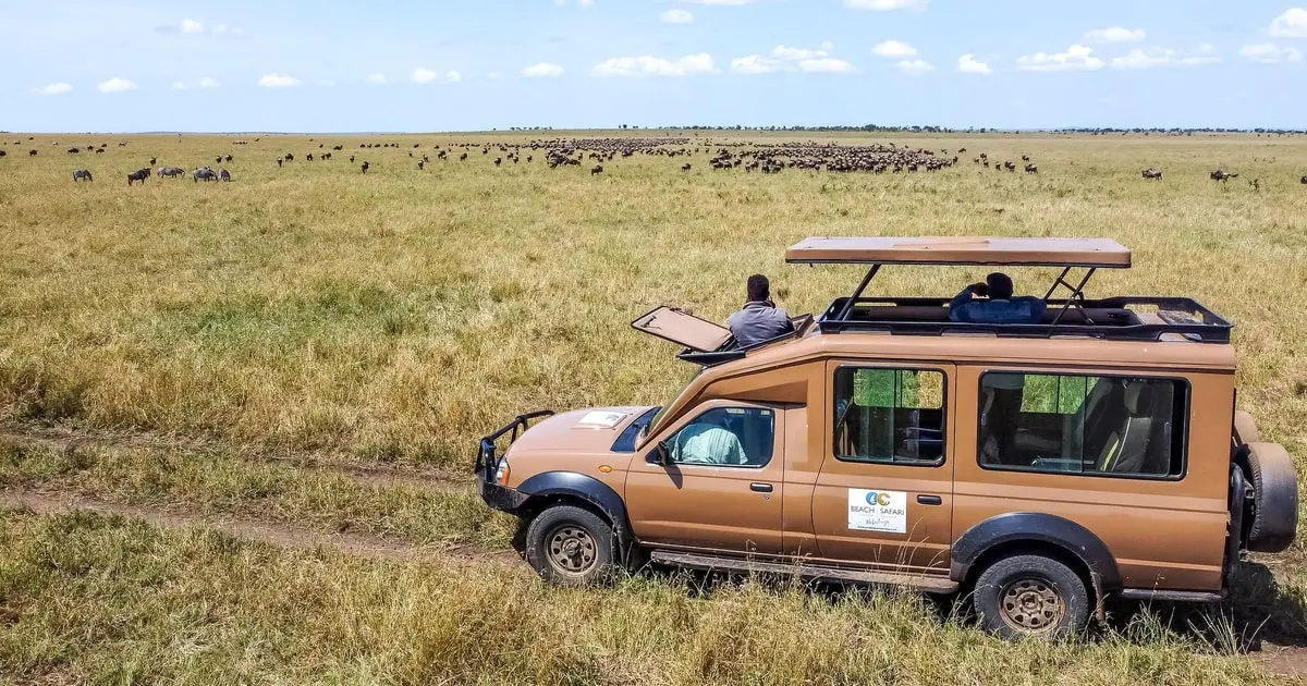 DAY 6 | Serengeti → Arusha / Kilimanjaro Airport