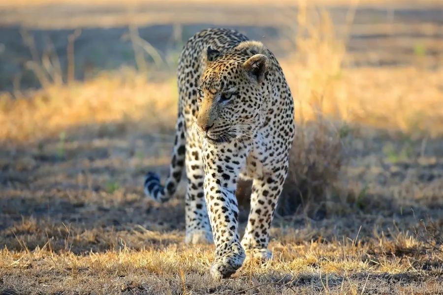 2 Night 3 Days – TANZANIA