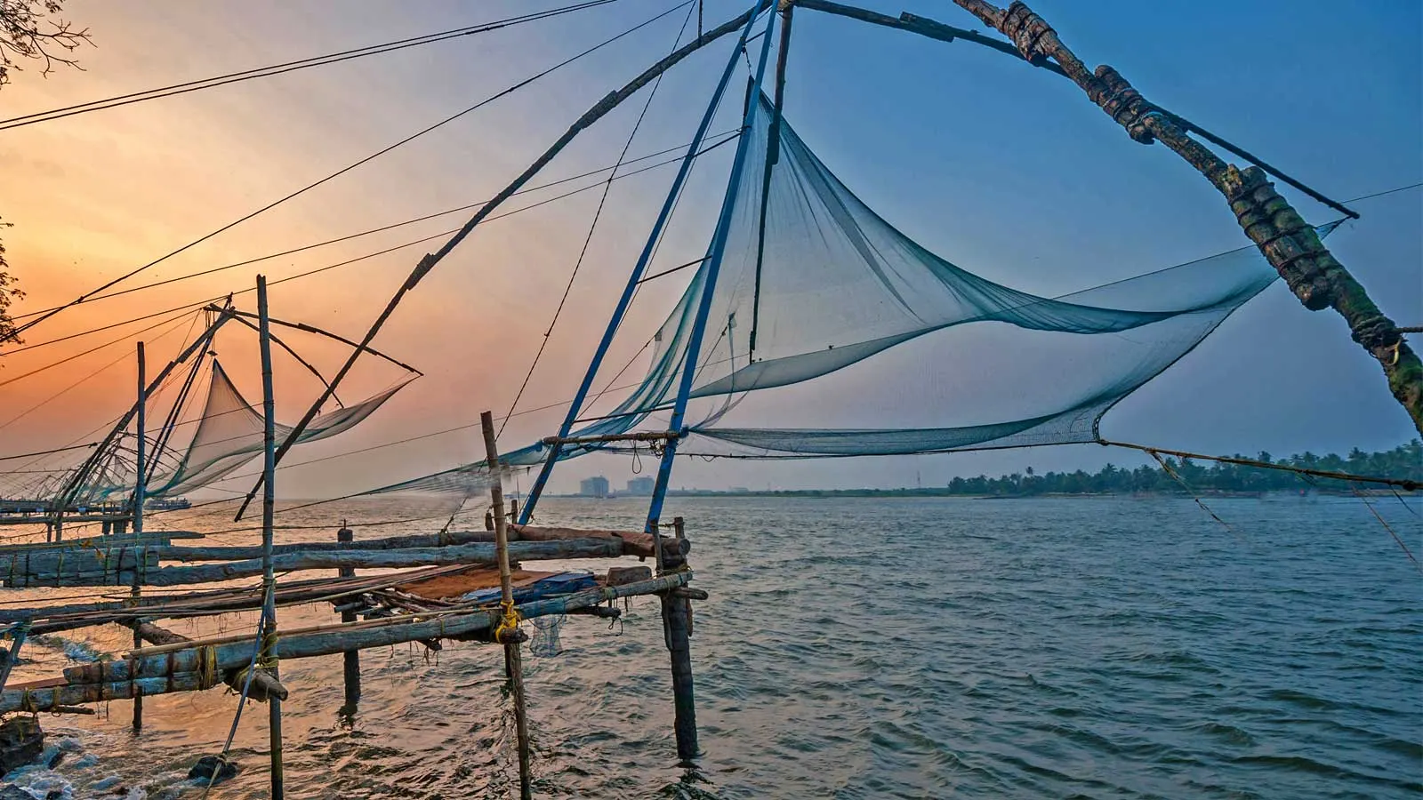 DAY 5 | Kochi Sightseeing & Departure