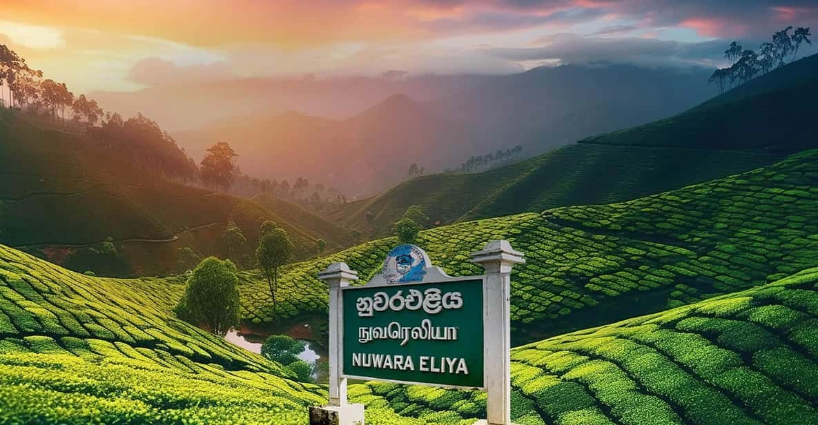 DAY 2 | Nuwara Eliya