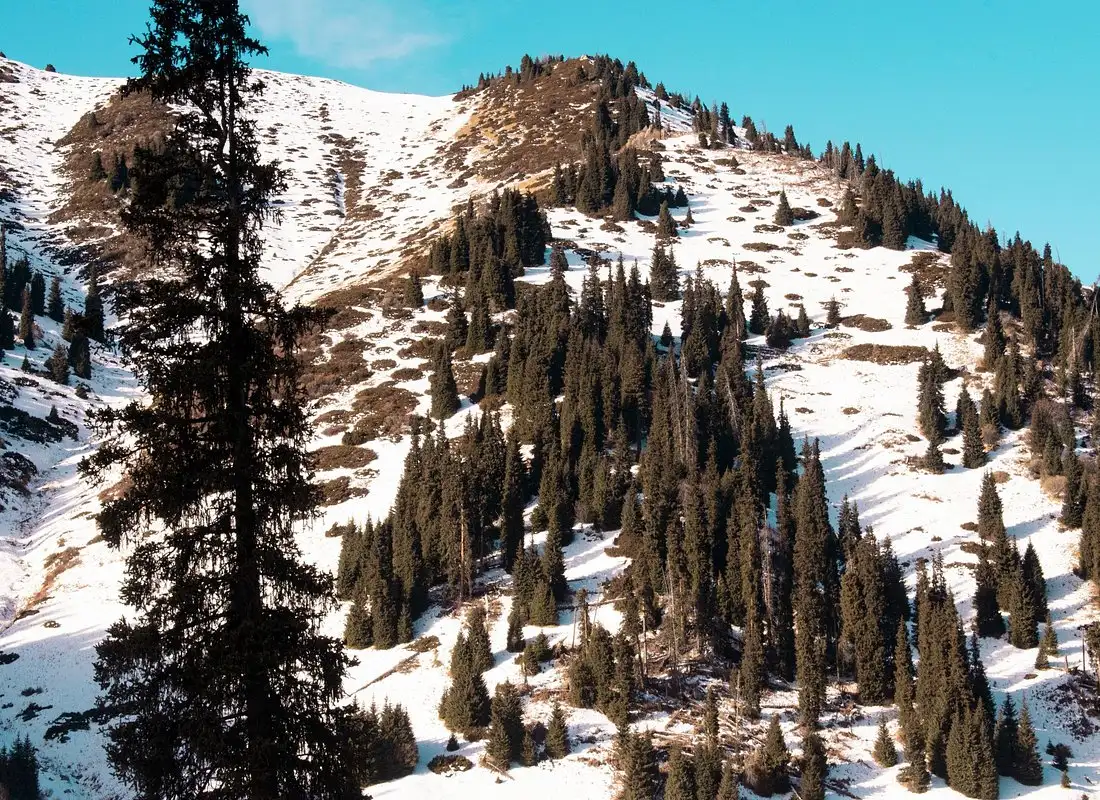 DAY 5 | ALMA -ARASAN GORGE