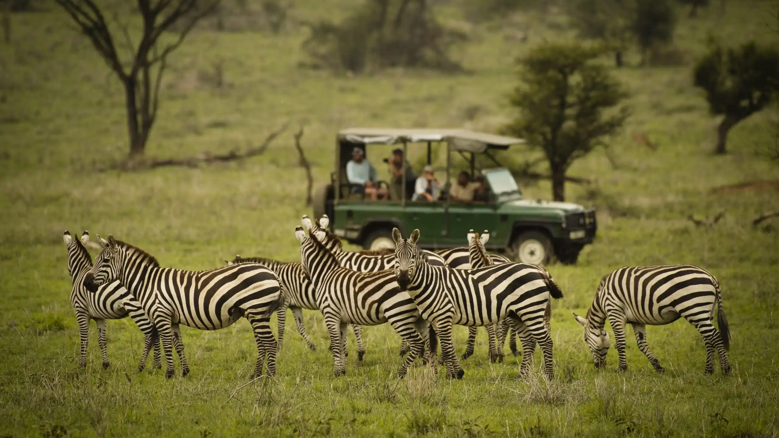 DAY 6 | Serengeti → Ngorongoro Crater