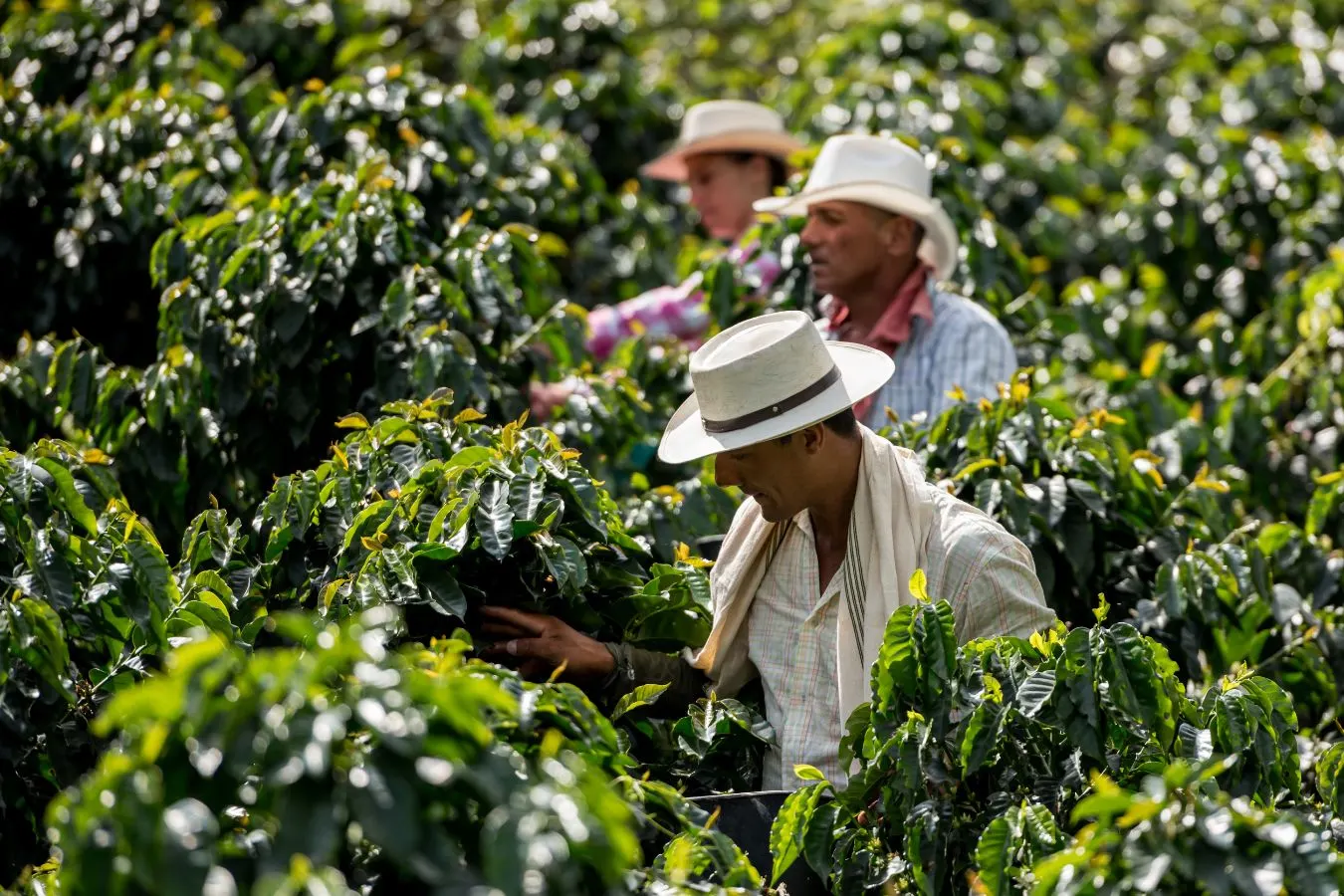 DAY 6 | Full Day in Moshi