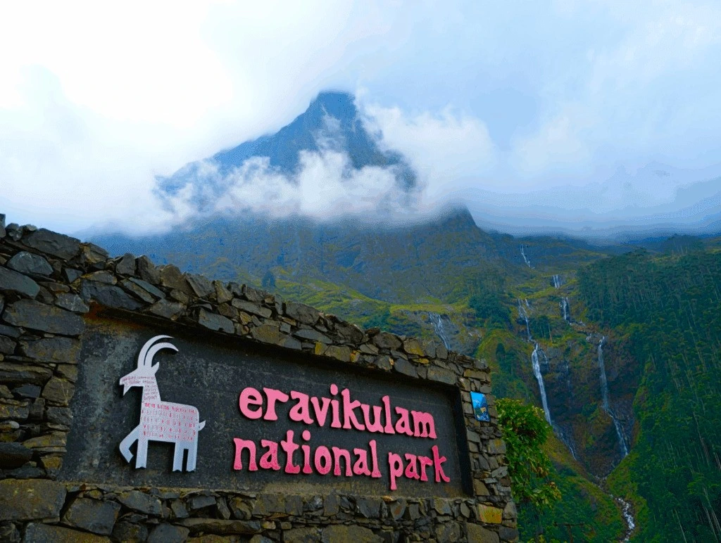 DAY 2 | Munnar Sightseeing