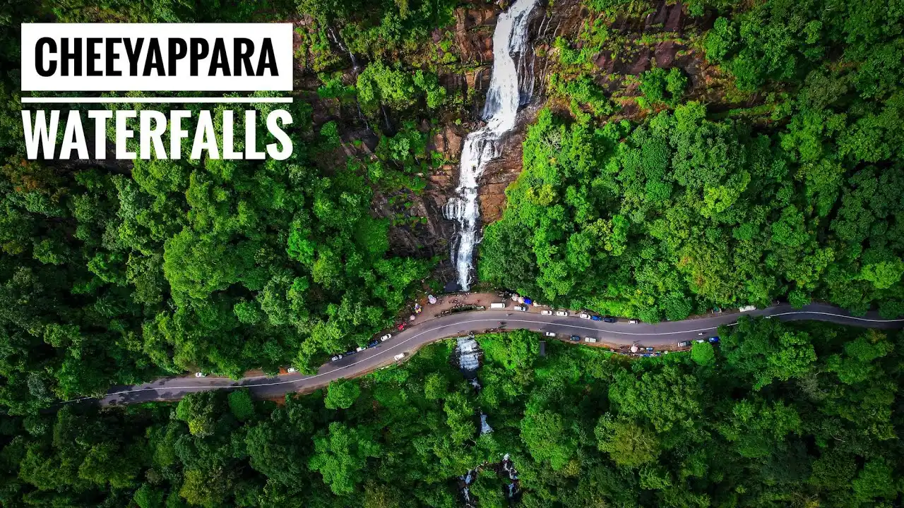 DAY 1 | Kochi → Munnar