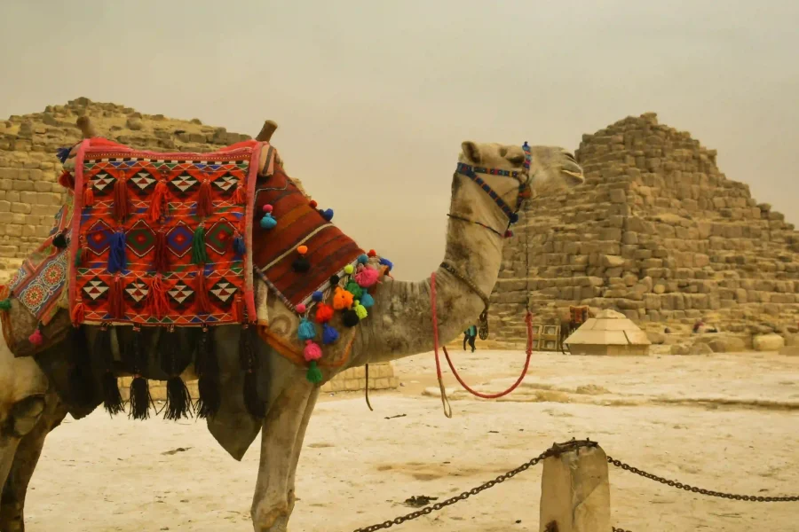 4 Nights / 5 Days – EGYPT