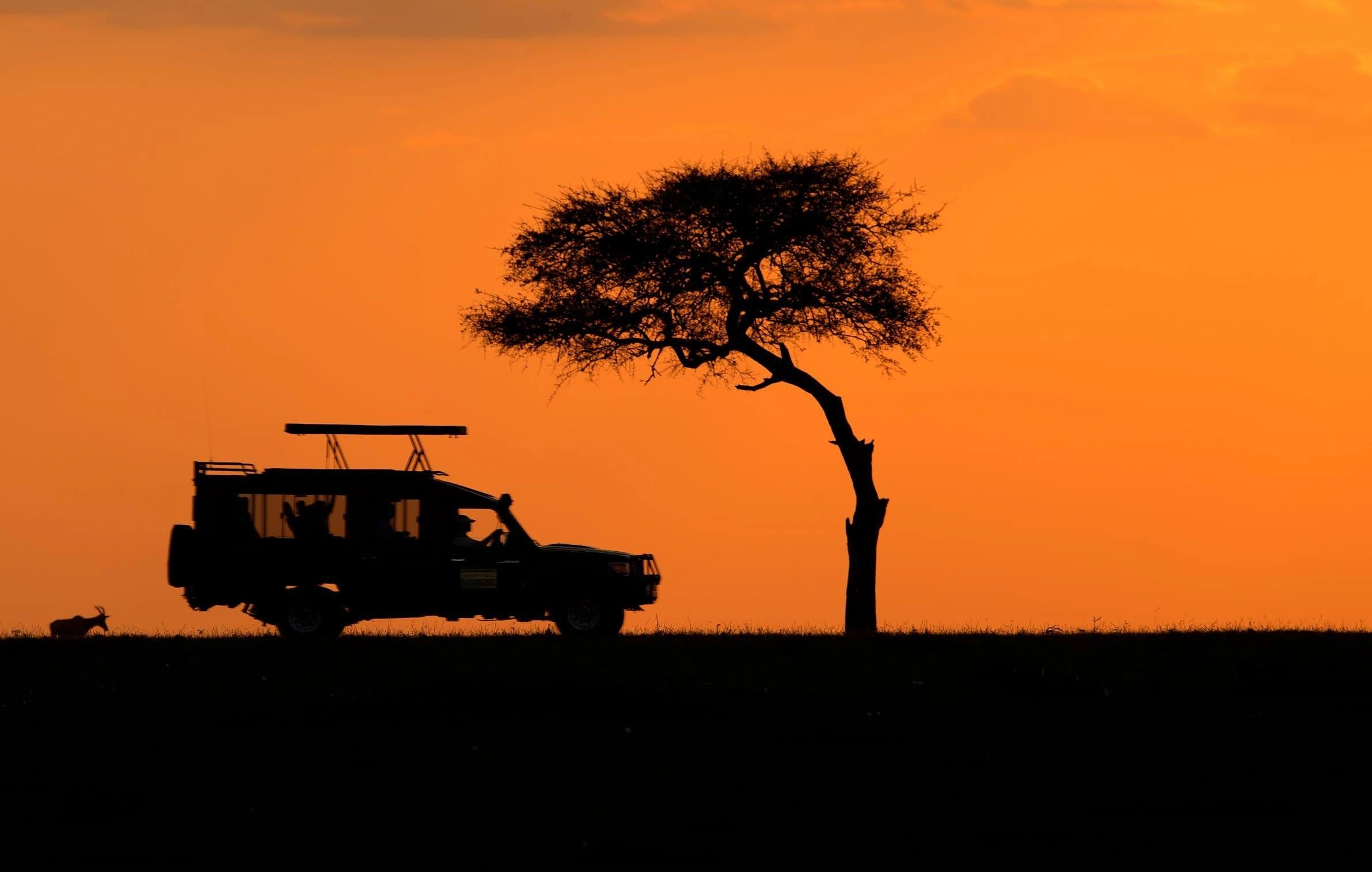 DAY 3 | Full-day game Drive at Masai Mara National Reserve.